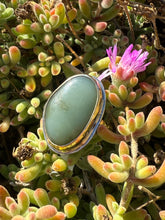 Load image into Gallery viewer, Gold Blondie Size 6.75