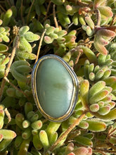 Load image into Gallery viewer, Gold Blondie Size 6.75