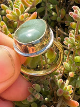 Load image into Gallery viewer, Gold Blondie Size 6.75