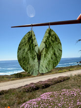Load image into Gallery viewer, Funky Big Sur Earrings
