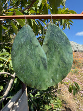 Load image into Gallery viewer, Funky Big Sur Earrings
