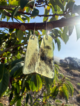 Load image into Gallery viewer, Mini Calico Earrings
