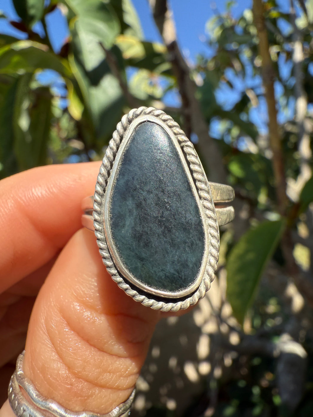 Midnight Calico Size 10