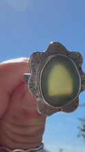 Load and play video in Gallery viewer, Big Sur Flower Power Size 6.75
