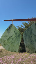 Load and play video in Gallery viewer, Funky Big Sur #3
